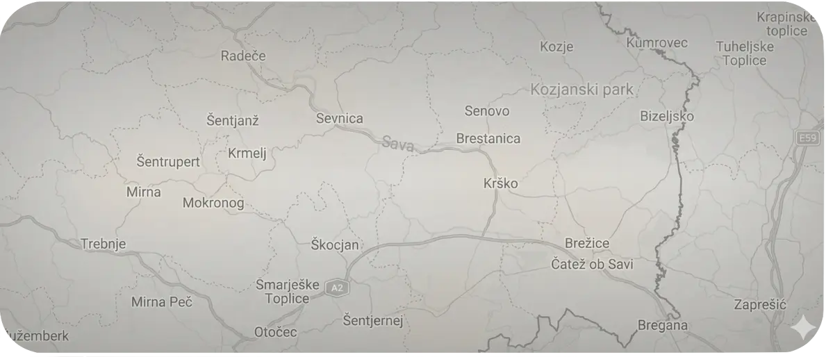 Zemljevid regije Posavje